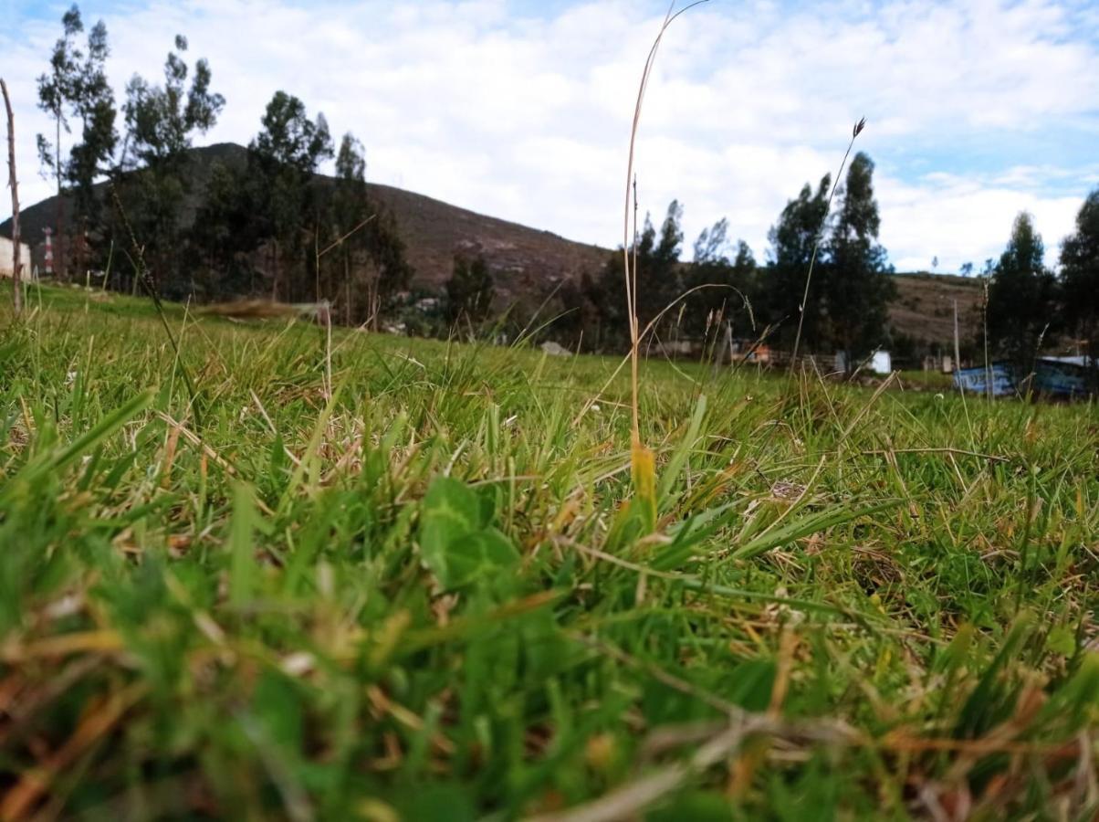 Camping Las Acacias Guatavita Eksteriør bilde