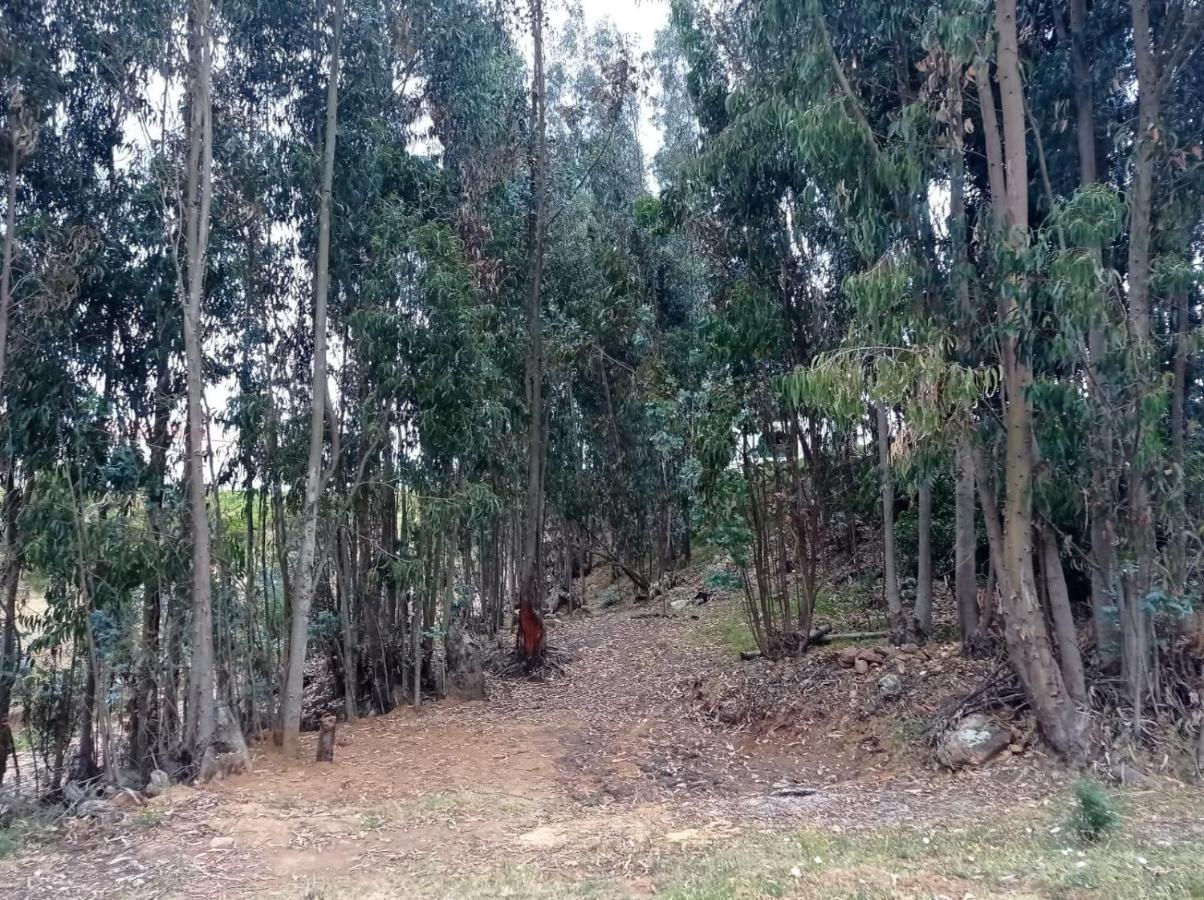 Camping Las Acacias Guatavita Eksteriør bilde