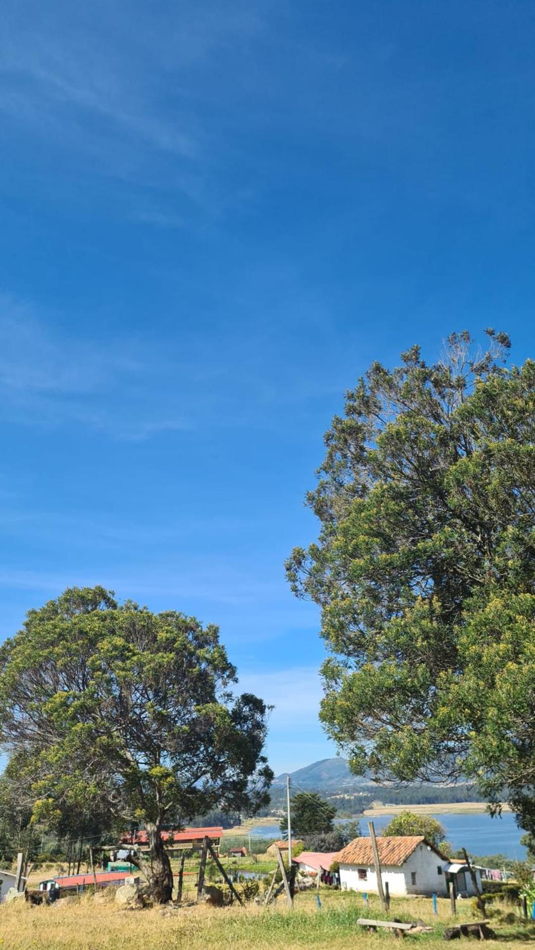 Camping Las Acacias Guatavita Eksteriør bilde