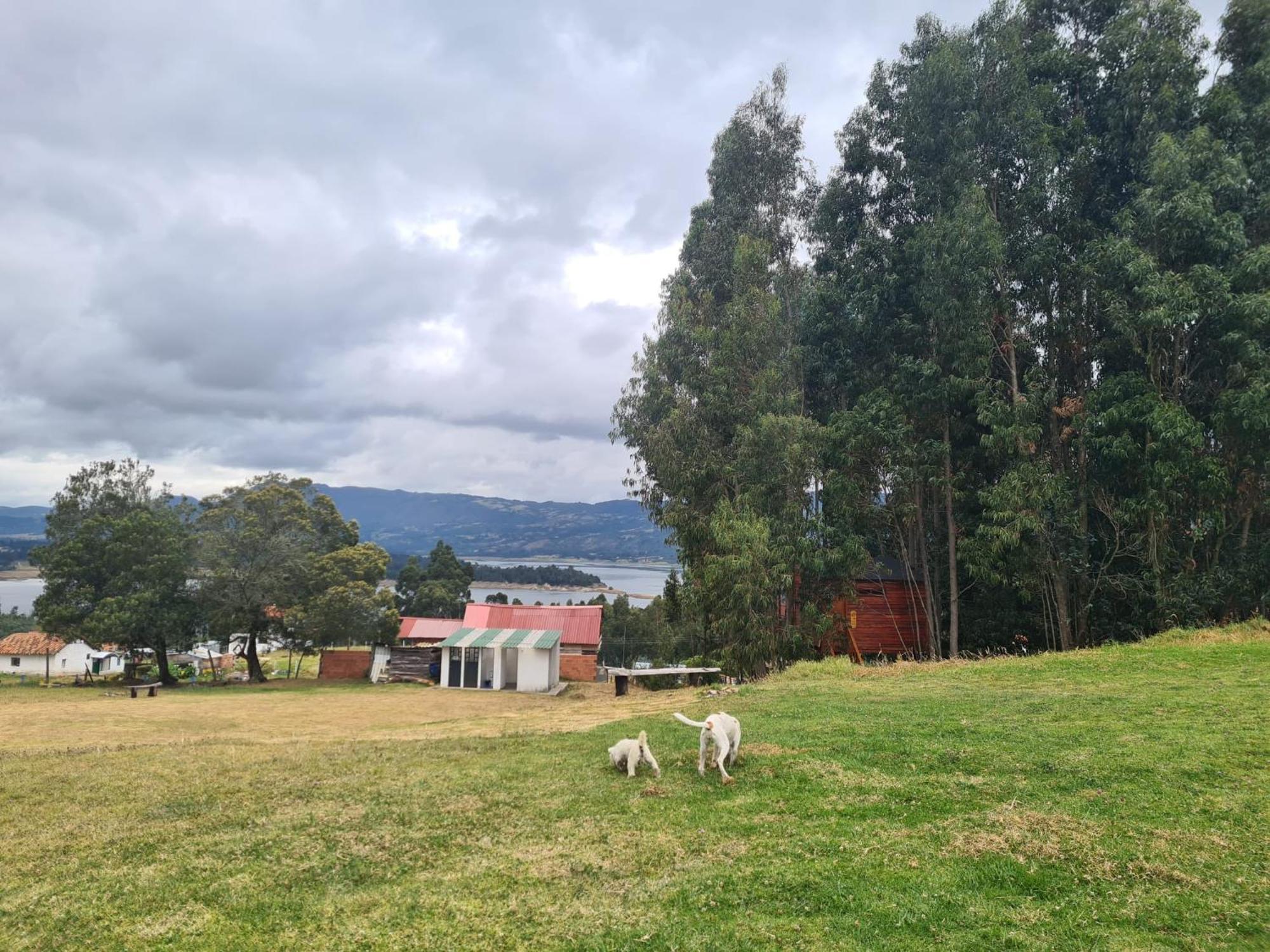 Camping Las Acacias Guatavita Eksteriør bilde