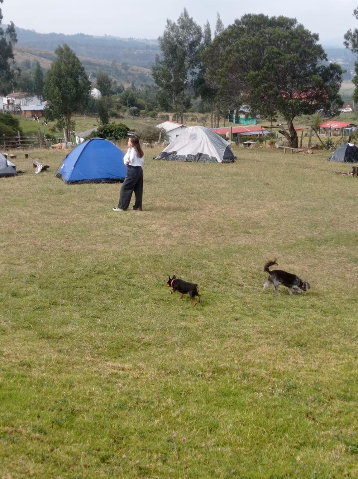 Camping Las Acacias Guatavita Eksteriør bilde